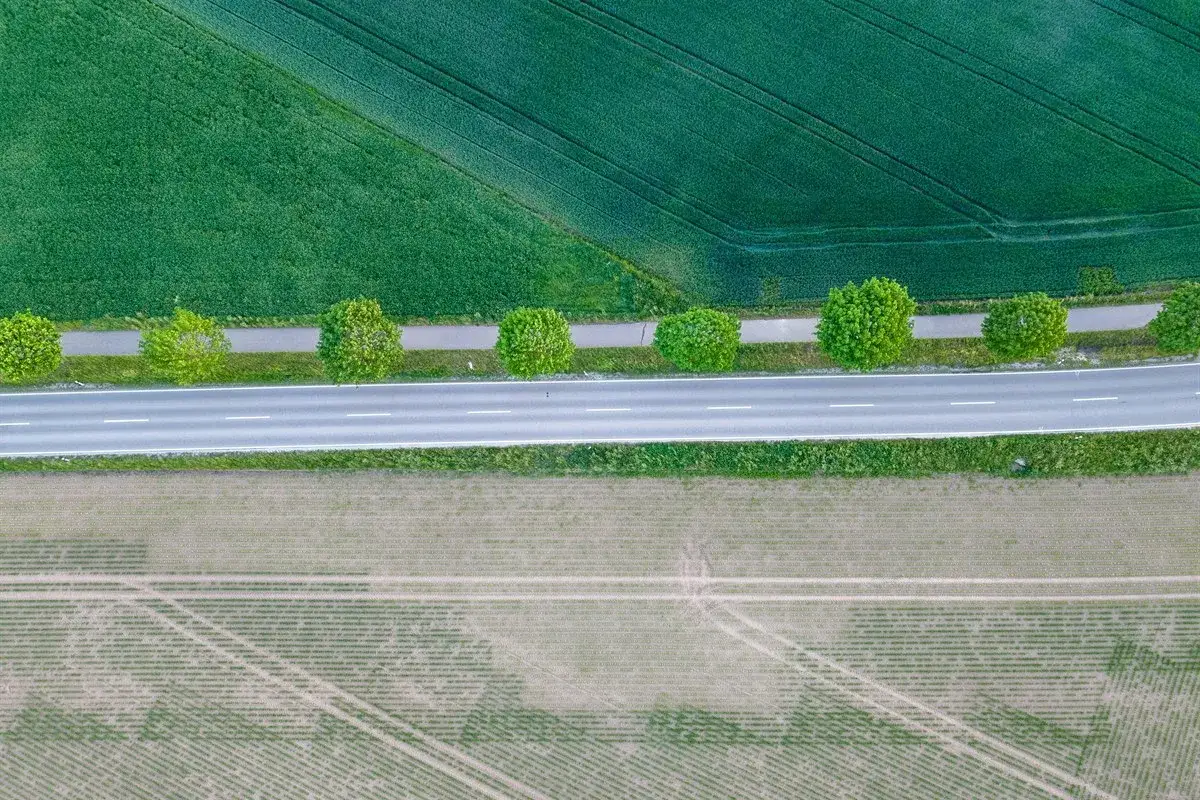 Äcker an einer Landstraße mit Baumreihe bei Ried, von oben fotografiert