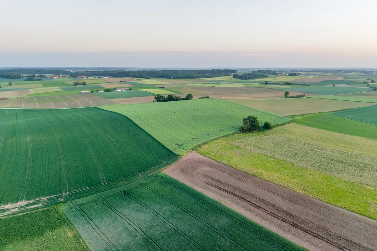 Acker- und Grünlandflächen im Wittelsbacher Land bei Ried aus der Luft