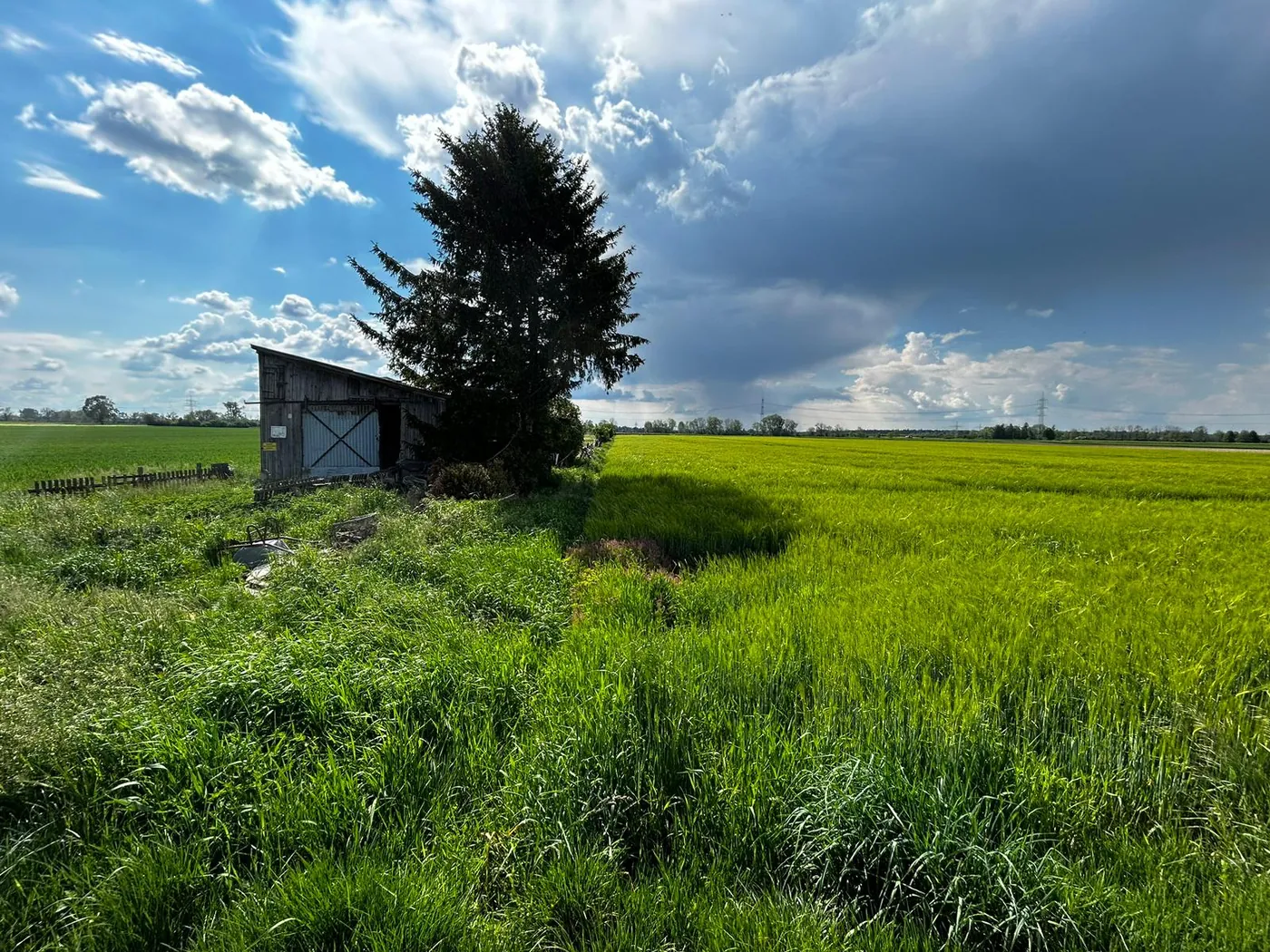 Unbebautes Grundstück mit Wiese, Baum und Holzschuppen, von Alexander Köhler Immobilien verkauft